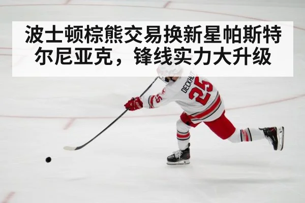 ice hockey action shot