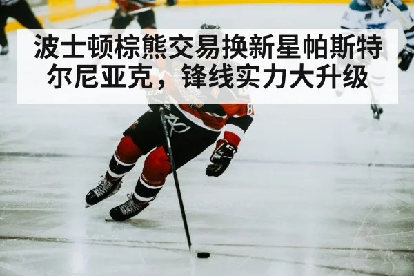 hockey player skating