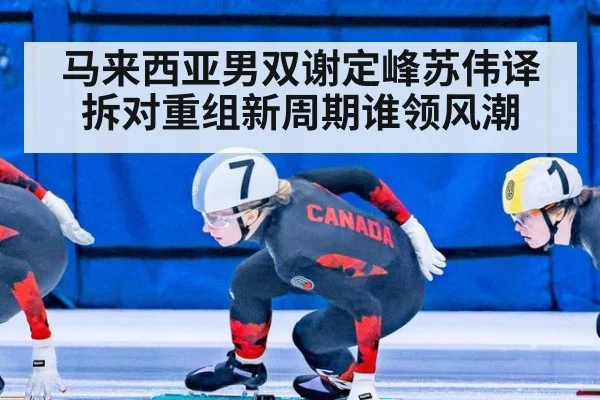 马来西亚男双谢定峰苏伟译拆对重组新周期谁领风潮